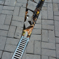 Seattle Drain Pros