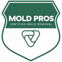 Marysville Mold Remediation Pros