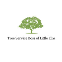 Tree Service Boss of Little Elm