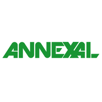 Annexal - Digital Marketing Agency