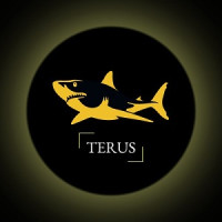 Công ty TNHH Terus - Thiết kế website chuyên nghiệp