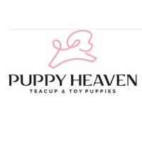 Puppy Heaven