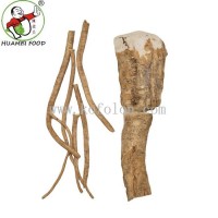 Fresh Horseradish Main Root37
