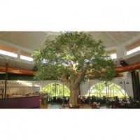 Fake Banyan Tree53