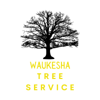 Waukesha tree service