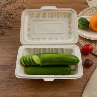 Disposable Dinner Tableware42