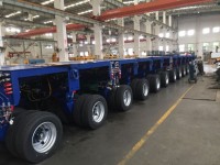 Heavy Duty Modules With Ball Bearing Race Ring12
