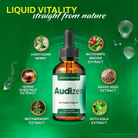 Audizen Support for Clear Hearing and Ear Comfort