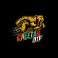 Cheetah DTF