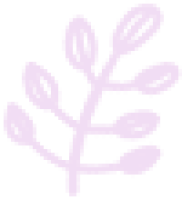 Florist Putney