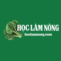 Học Làm Nông - Chia Sẻ Kinh Nghiệm Trồng Rau Sạch Tại Nhà