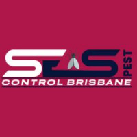 Best Flea Control Brisbane