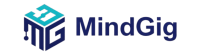 MindGig – Software Development & Mobile App Company in Pakistan