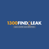 1-300 FIND LEAK