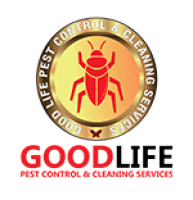 Pest Control in Sharjah | Affordable & Trusted Pest Control