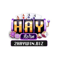 HAYWIN