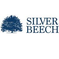 SILVER BEECH