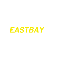 Eastbay Shoes - Eastbaykicks.com - Cheap Reps Sneakers Online Sales Store