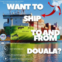How to Ship a container to Cameroon info@abcapitallogistics.com