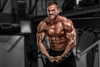 Best Testosterone Booster for Men Who Train Hard and Recover Fast