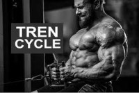 Test and Tren Cycle For Beginners 2026: Beginner-Friendly TrenMax Strategies
