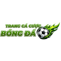 Top 10 Trang Cá Cược Bóng Đá Uy Tín Và Đẳng Cấp #1 Châu Á 2026