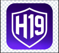 H19