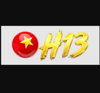 H13