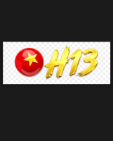 H13
