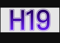 H19