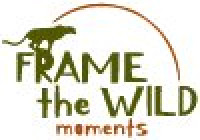 Wildlife Safari Tours | Frame The Wild Moments – East Africa