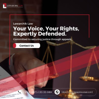 appellate criminal lawyer