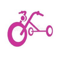 Fat Tire Electric Tricycle