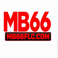 MB66