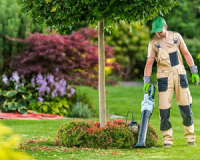 Clifton Landscaping