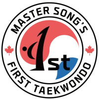 Taekwondo Classes for Adults