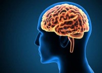 http://fitnesshealthpills.com/vigor-smart-pills/