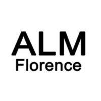 ALM Hyundai