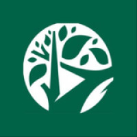 Triangle Tree Services