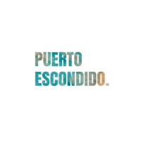 Real Estate Puerto Escondido
