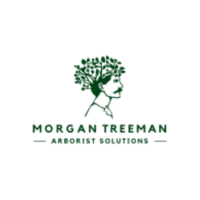 Morgan Treeman Arborist Solutions