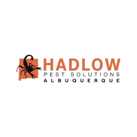 Hadlow Pest Solutions Albuquerque