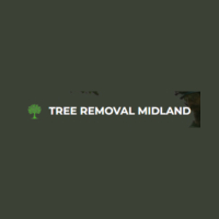 Tree Removal Midland