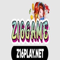 Z16