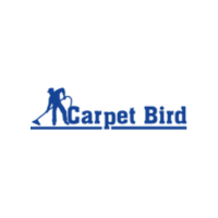 CarpetBird
