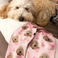 Custom Pet Socks