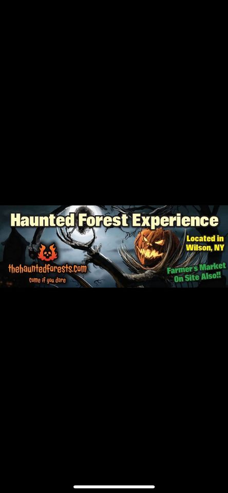 The Haunted Forest