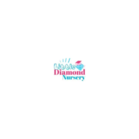 Little Diamond Nursery
