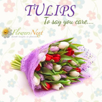 flowersnext