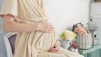 How much does surrogacy cost in cochin 2023?